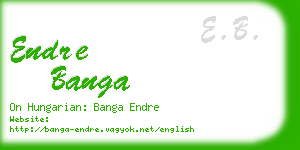 endre banga business card